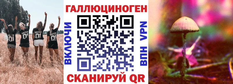 Псилоцибиновые грибы Psilocybine cubensis  Зеленоградск 